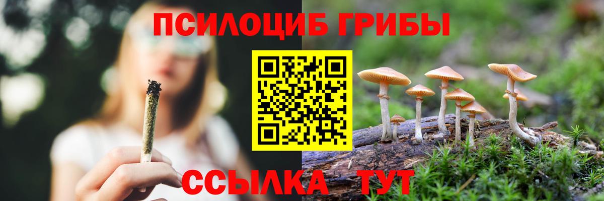 Псилоцибиновые грибы мицелий Учалы